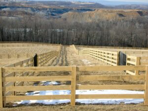 Horse pasture with mountains in background