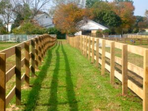 Horse lane with rail fence