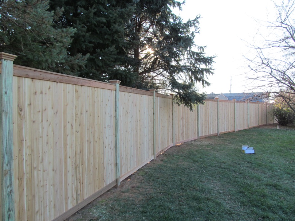 Panel Fence in backyard