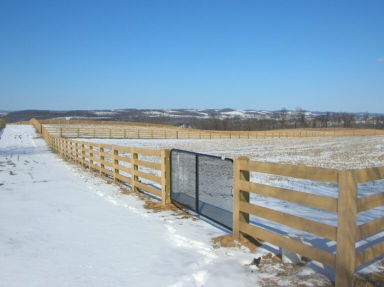 Rail Fence with Metal Gate