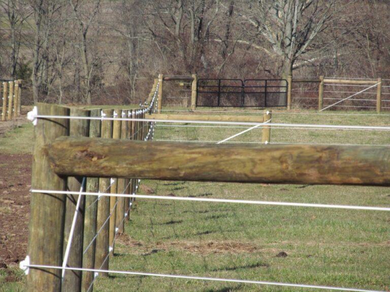 Close up of Horse Fence