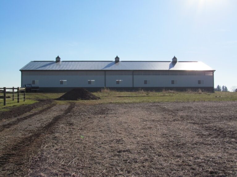 Large Horse Barn