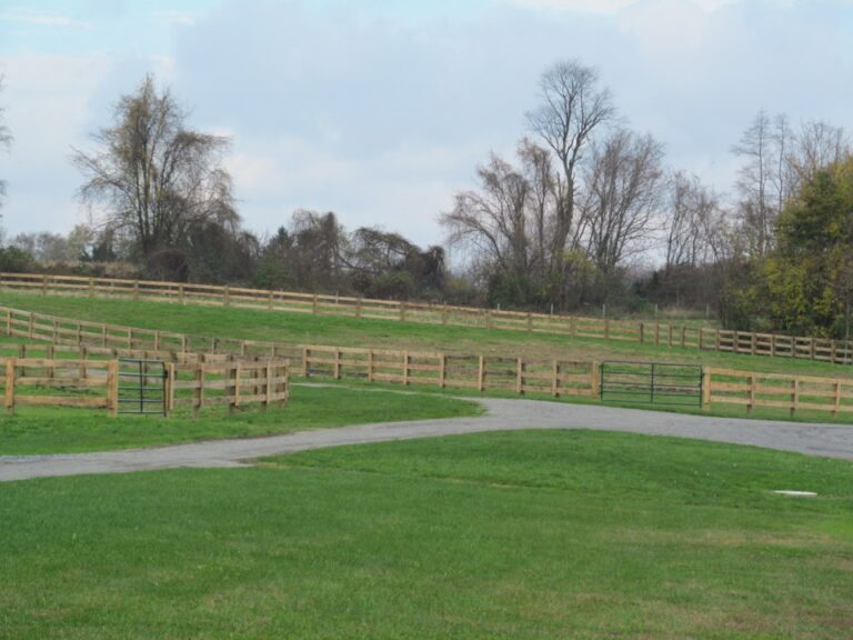 distant wooden rail fence