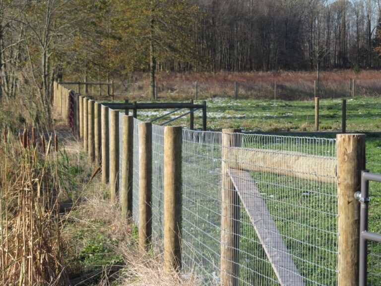 Scotia Acres Lama pen fence