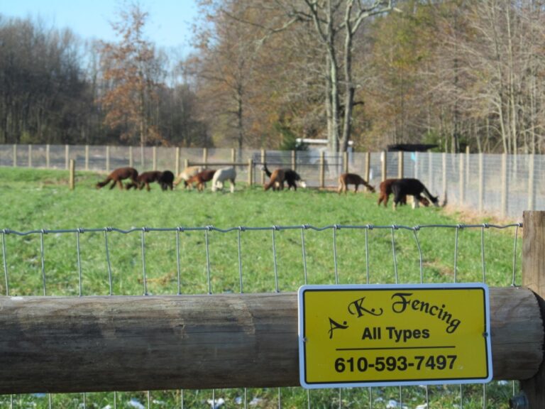 Scotia Acres Lama pen fence