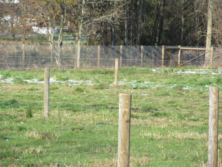 Scotia Acres Lama pen fence