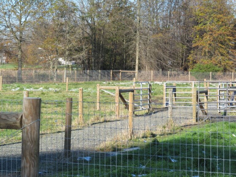 Scotia Acres Lama pen fence