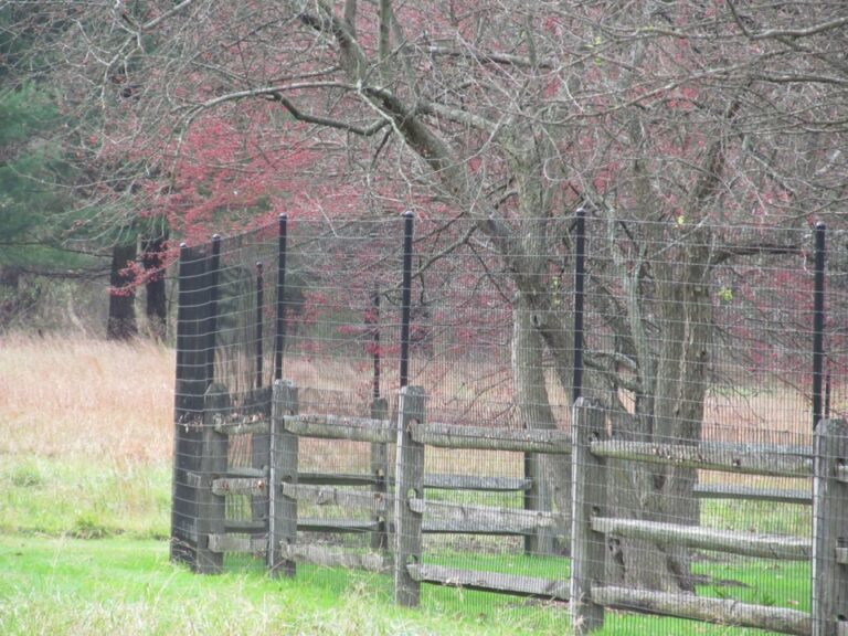 Hight Mesh fence