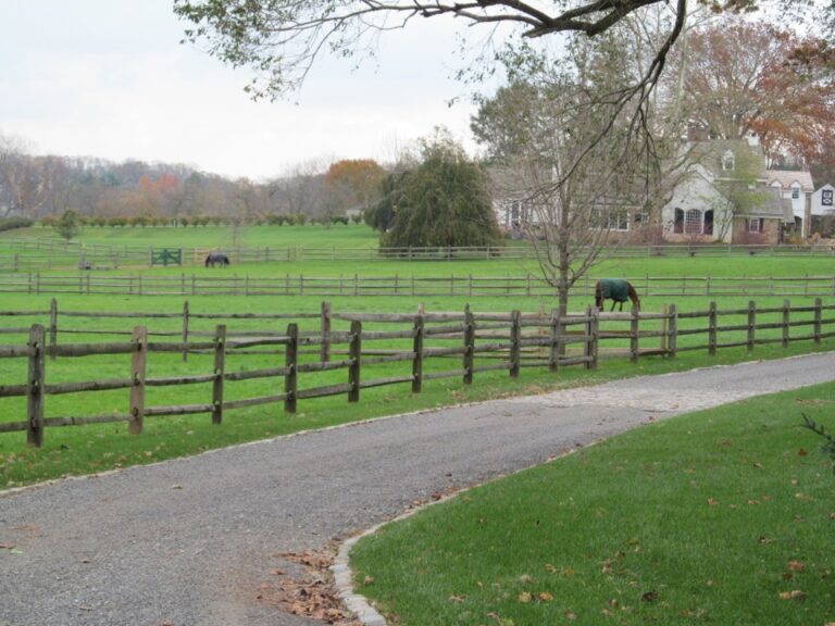 2 horses inside rail fence