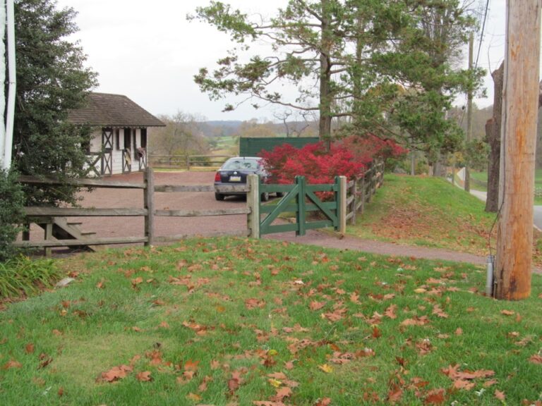 Green Gate with flowering Bush