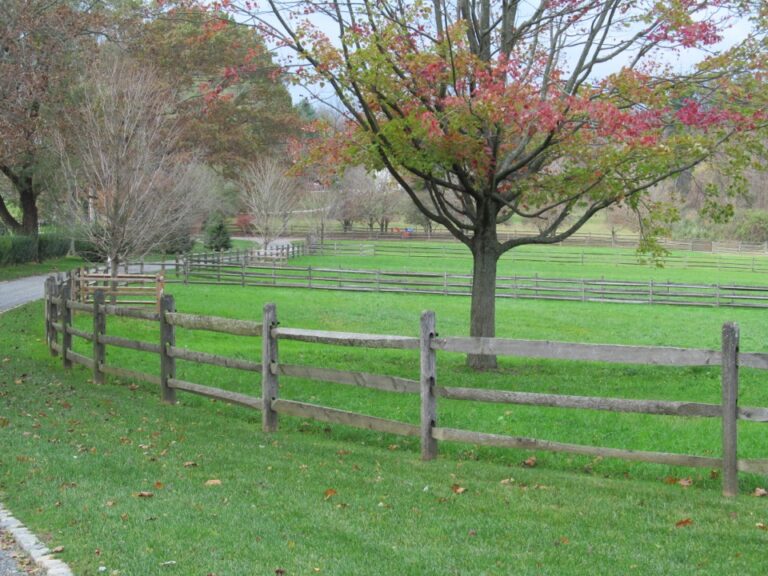 Wooden rail fence with tree