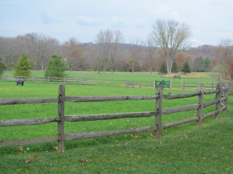 Wooden Rail fence in meadow