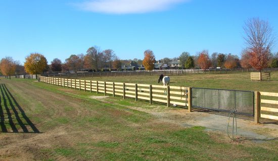 Horse rail fence